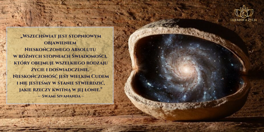 ASTROLOGIA & NUMEROLOGIA – ICH WPŁYW NA NAS I NASZĄ RZECZYWISTOŚĆ