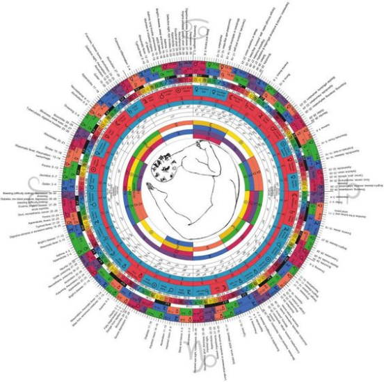 ORGANY I TKANKI A SOLE KOMÓRKOWE