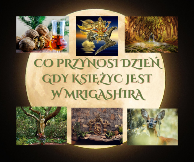 GDY KSIĘŻYC PRZEMIERZA NAKSZATRĘ MṚGAŚĪRṢĀ