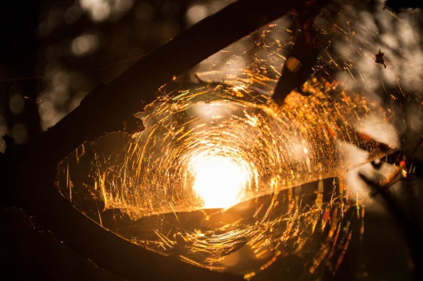 NOWE ŚCIEŻKI I DUŻE ZMIANY