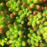 Image by Alicia Mary Smith from Pixabay