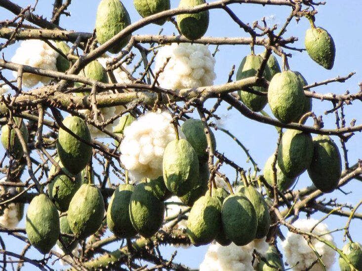 OPOWIEŚCI PRZY PEŁNI W SVATI – LEKCJA POKORY