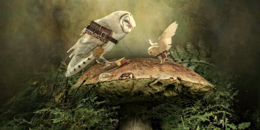 CZY ZDARZYŁO SIĘ TOBIE URAZIĆ NAUCZYCIELA? OPOWIEŚĆ NAKSZATRY PUSHYA