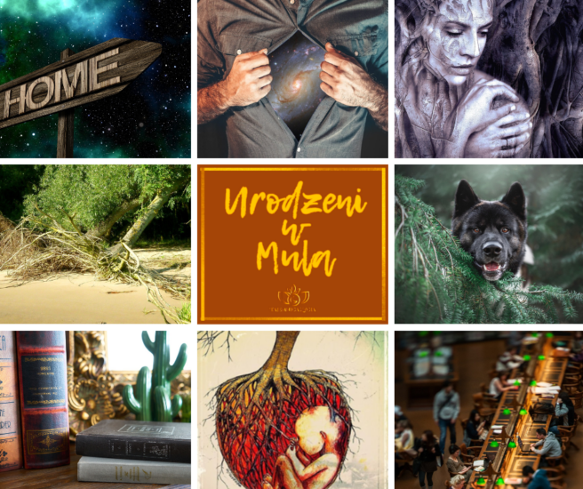 NONKONFORMIŚCI – URODZENI W ZNAKU STRZELCA I KOZIOROŻCA, NAKSZATRA MŪLA