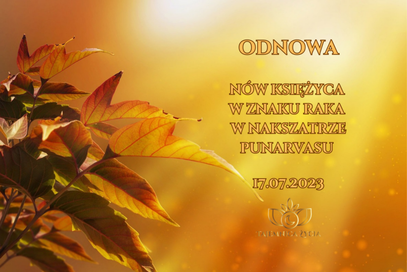 ODNOWA – NÓW KSIĘŻYCA W ZNAKU RAKA, W NAKSZATRZE PUNARVASU