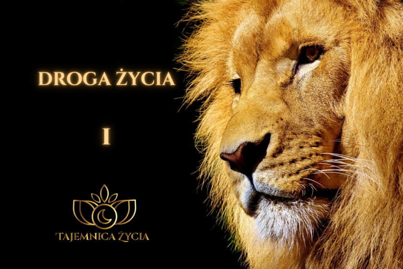 DROGA ŻYCIA W WIBRACJI 1