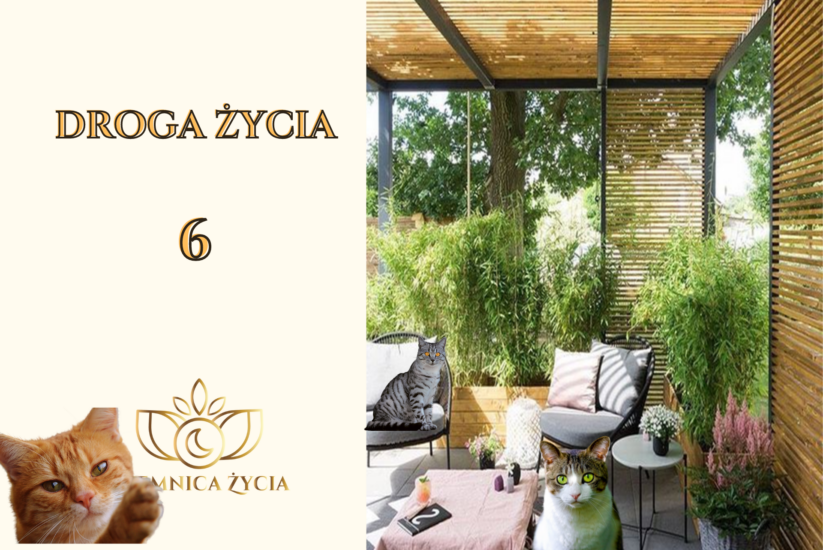 DROGA ŻYCIA W WIBRACJI 6