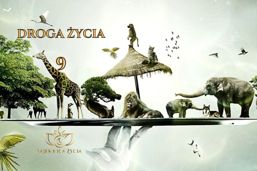 DROGA ŻYCIA W WIBRACJI 9