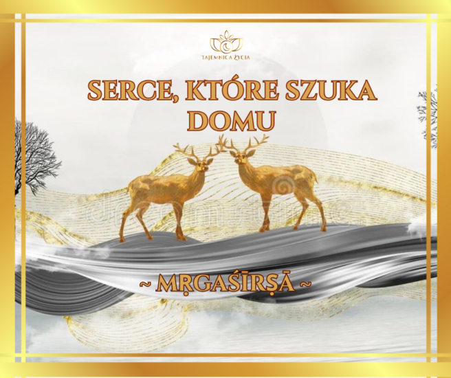 Serce, które szuka domu – Mrigashira