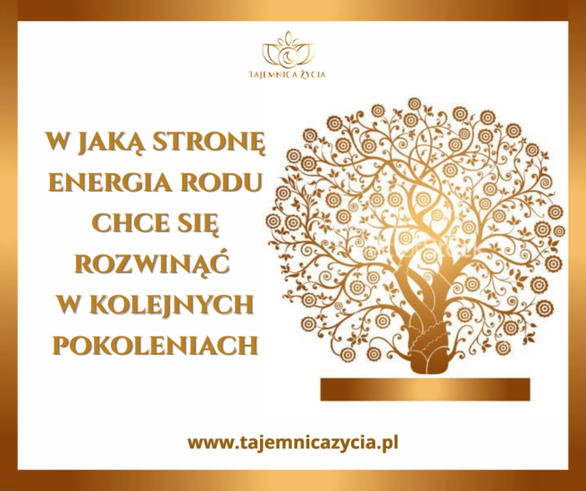 W jaką stronę energia rodu chce się rozwinąć w kolejnych pokoleniach